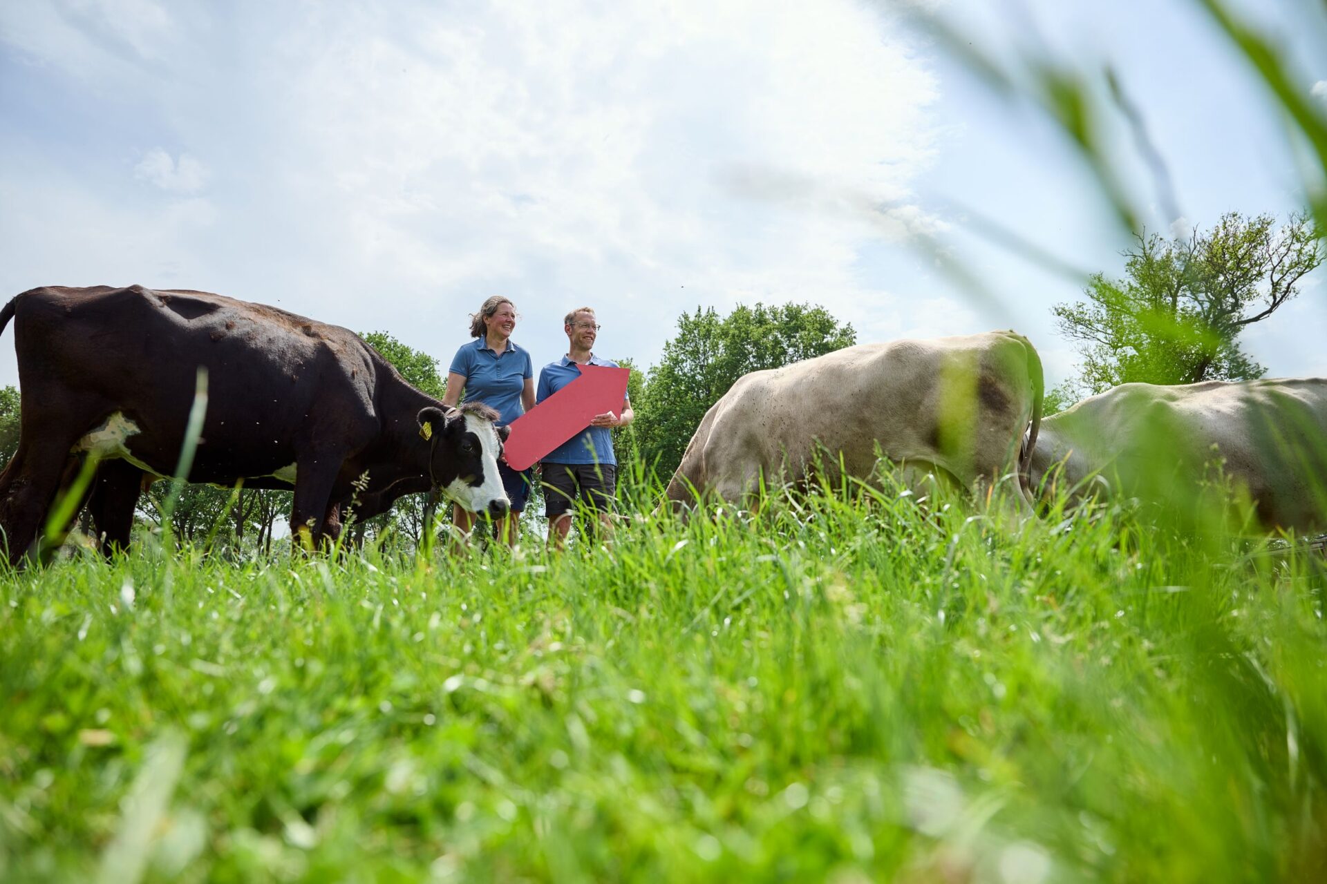 Kaasboerderij De Zeven Koeien