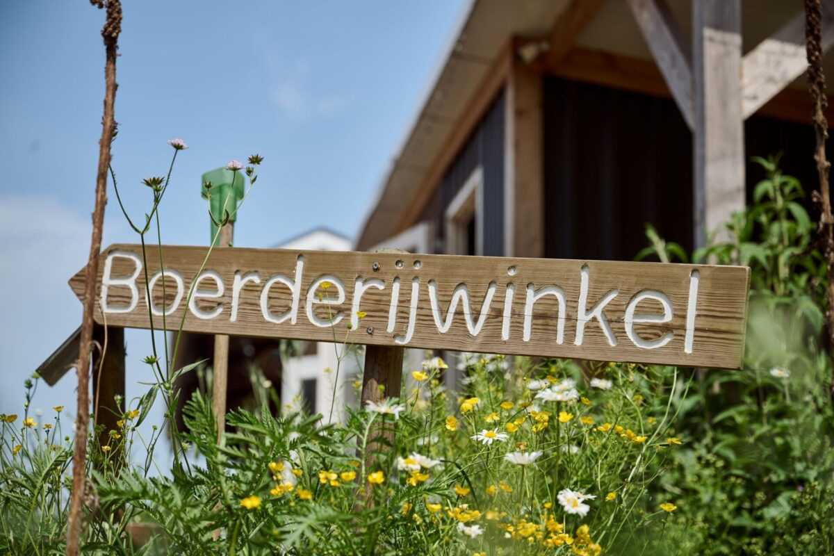 Kaasboerderij De Zeven Koeien