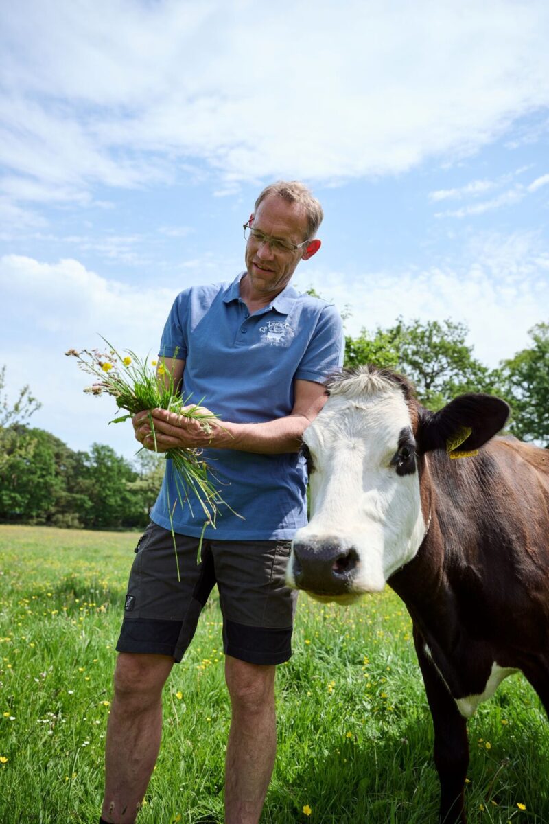 Kaasboerderij De Zeven Koeien